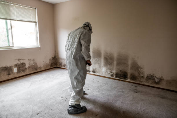 Best Residential Mold Removal  in Enterprise, OR